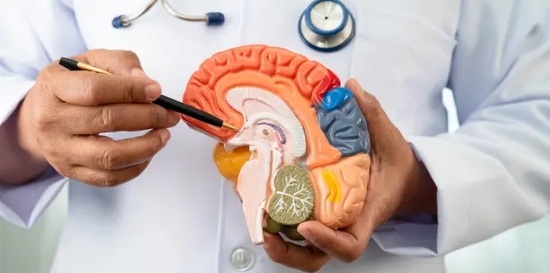 Neurology Gastroenterology Billing